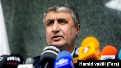 Mohammad Eslami, the head of the Atomic Energy Organization of Iran (file photo)