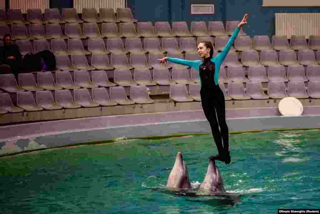 Eva Leontiyeva, a Ukrainian dolphin trainer, performs with two dolphins at the Constanta Dolphinarium in Constanta, Romania, on April 4. The dolphins (Kiki, Maya, Marusia, and Veterok) and sea lions (Aleks, Mary, and Zosya) along with their Ukrainian trainers have found a new home in Romania, where they are once again delighting children. &nbsp;