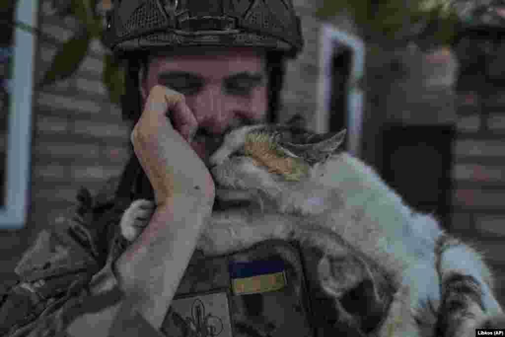 A Ukrainian policeman pets a cat at the front line near Kreminna.