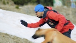 Bulgarian Mountain Rescue Dog Teams Rely Heavily On Volunteers
