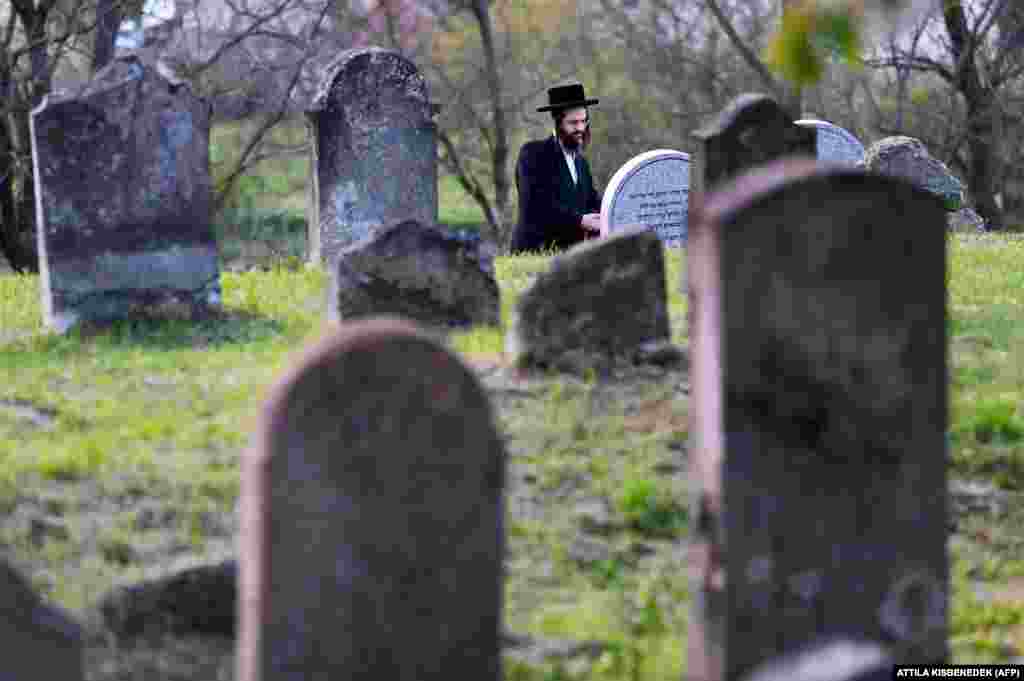 A&nbsp;Hasidic Jewish&nbsp;pilgrim praying at the cemetery near Rabbi Steiner&#39;s grave. Also known as&nbsp;Grand Rebbe Shayale Kerestir, Rabbi Steiner continues to inspire Hasidic Jews from around the world who still study his teachings.