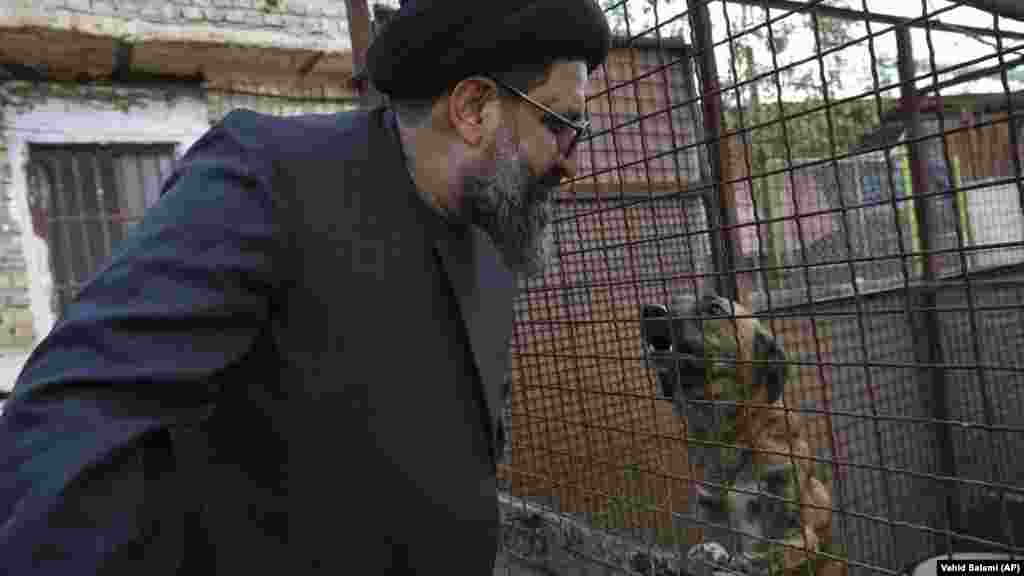 Tabatabaei shares a moment with a stray dog at his shelter.&nbsp;&quot;He is very well-known and reliable. You are confident you can leave puppies with him and have peace of mind,&quot; said Zahra Hojabri who discovered a sick dog on the side of a road. She adds,&nbsp;&quot;I think he is an angel, more than a human.&quot;&nbsp; &nbsp;