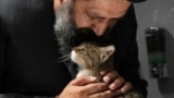 Iran Humane Cleric