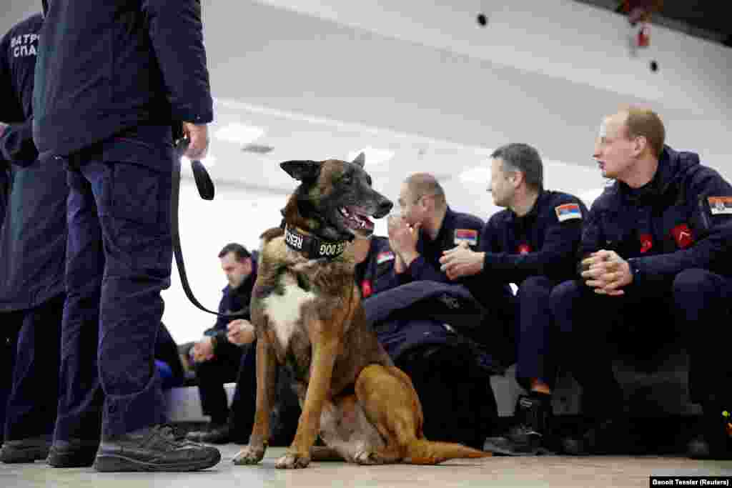 Firefighters and a rescue dog from Serbia are seen after arriving at the airport in Adana in southern Turkey.&nbsp;Serbia has sent 21 rescuers and three &quot;liaison officers&quot; to Turkey.